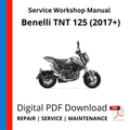 Benelli TNT 125 (2017 Onwards) Service Workshop Manual
